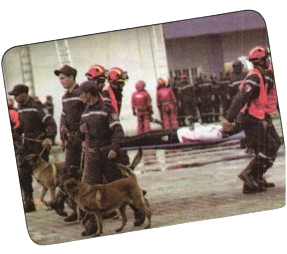 Image de sera.png